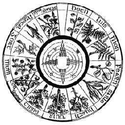 Какие бывают гороскопы?