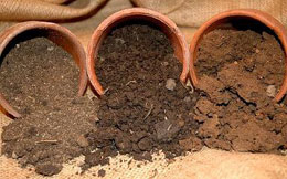 Как определить кислотность почвы?