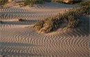 Зыбучий песок - что это такое?