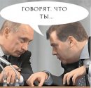 Почему Путин - краб, а Медведев – шмель?