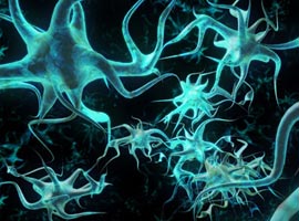 Что такое «нейрон»?