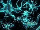 Что такое «нейрон»?