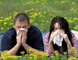 Чем опасен аллергический насморк?